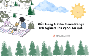 Cẩm Nang 5 Điểm Picnic Đà Lạt Trải Nghiệm Thú Vị Khi Du Lịch