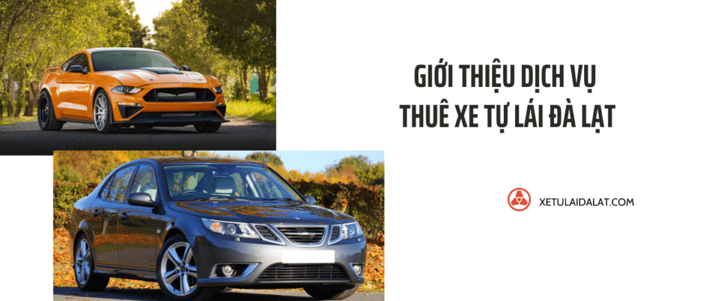 Dịch vụ thuê xe tự lái Đà Lạt và có tài xế – Lựa chọn tốt cho chuyến du lịch của bạn 1 Để chuyến hành trình khám phá Đà Lạt của bạn trở nên dễ dàng và tiện lợi, dịch vụ thuê xe tự lái Đà Lạt và thuê xe có tài xế tại xetulaidalat.com