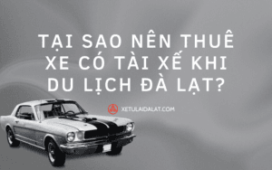 Tại sao nên thuê xe có tài xế khi du lịch Đà Lạt (1)