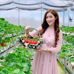 Tour Khám Phá Đà Lạt Trong Ngày